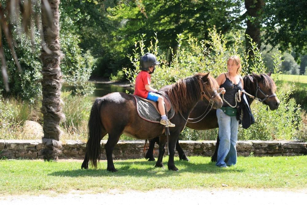 Domaine De L'Orangerie De Lanniron Hotell Quimper Eksteriør bilde